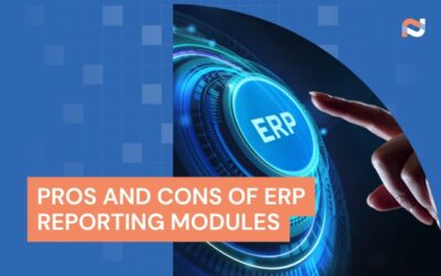Pros and Cons of ERP Reporting Modules